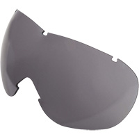 Lentille de rechange pour les lunettes de s&eacute;curit&eacute; &agrave; coques Uvex Sub-Zero, Antibu&eacute;e/anti-&eacute;gratignures, Gris, Uvex Sub-Zero Helyx Safety & Industrial Supplies