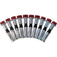 Replacement Bolt Kit for Concrete D-Ring Anchors, Bolt-On, Permanent/Temporary Use Helyx Safety & Industrial Supplies