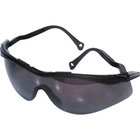 Lunettes de s&eacute;curit&eacute; North The Edge, Lentille Fum&eacute;e, Antibu&eacute;e/Anti-&eacute;gratignures, R&eacute;pond ou surpasse la norme CSA Z94.3 Helyx Safety & Industrial Supplies