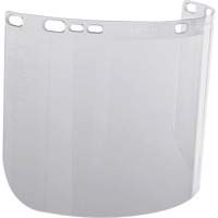 Visi&egrave;re moul&eacute;e transparente F20 Helyx Safety & Industrial Supplies