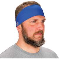 Chill-Its 6634 Cooling Headband, Blue Helyx Safety & Industrial Supplies