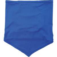 Chill-Its 6483 Cooling Neck Gaiter Bandana with Pocket, Blue Helyx Safety & Industrial Supplies