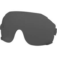 Lentilles de rechange pour visi&egrave;re, Teinte Grise/fum&eacute;e Helyx Safety & Industrial Supplies