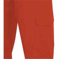 7765 Pantalon cargo de s&eacute;curit&eacute; haute visibilit&eacute; r&eacute;sistant aux arcs &eacute;lectriques FR-Tech 88/12, 30, x 32, Orange haute visibilit&eacute;, 10 cal/cm² Helyx Safety & Industrial Supplies