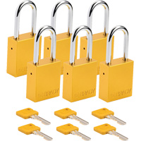 Cadenas de s&eacute;curit&eacute;, Cadenas de s&eacute;curit&eacute;, Cl&eacute;s diff&eacute;rentes, Aluminium, Largeur de 1-1/2" Helyx Safety & Industrial Supplies