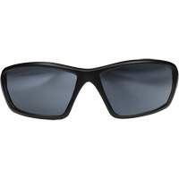 Lunettes de s&eacute;curit&eacute; Robson avec joint, Lentille Miroir argent&eacute;, Anti-&eacute;gratignures/Polaris&eacute;, ANSI Z87+/MCEPS GL-PD 10-12/R&eacute;pond ou surpasse la norme CSA Z94.3 Helyx Safety & Industrial Supplies