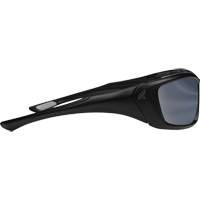 Lunettes de s&eacute;curit&eacute; Robson avec joint, Lentille Miroir argent&eacute;, Anti-&eacute;gratignures/Polaris&eacute;, ANSI Z87+/MCEPS GL-PD 10-12/R&eacute;pond ou surpasse la norme CSA Z94.3 Helyx Safety & Industrial Supplies