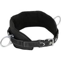 WB-6020-S Dispositif de retenue de s&eacute;curit&eacute; avec ceinture &agrave; deux anneaux en D et support lombaire rembourr&eacute; - Petit Helyx Safety & Industrial Supplies