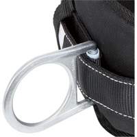 WB-6020-S Dispositif de retenue de s&eacute;curit&eacute; avec ceinture &agrave; deux anneaux en D et support lombaire rembourr&eacute; - Petit Helyx Safety & Industrial Supplies