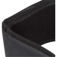 WB-6006 Support lombaire rembourr&eacute; pour ceinture - Universel Helyx Safety & Industrial Supplies