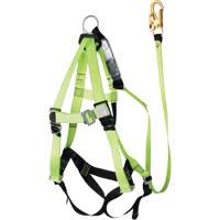 FBH-10000A6440-4 Harnais & longe classe A de 4' avec capacit&eacute; de 350 lb, Combinaison harnais/longe Helyx Safety & Industrial Supplies