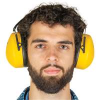 Passive Ear Muffs, Headband, 25 NRR dB Helyx Safety & Industrial Supplies