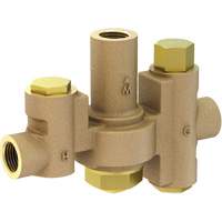Mid-Capacity Thermostatic Mixing Valve for Individual Eye/Face Wash Stations, 2 - 35.1 GPM Helyx Safety & Industrial Supplies