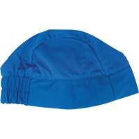 Cooling Skull Cap, Blue Helyx Safety & Industrial Supplies
