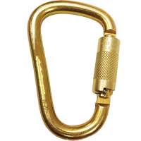 Connecteur mousqueton avec ouverture de 1-1/16" Helyx Safety & Industrial Supplies