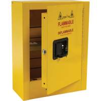 Armoire de s&eacute;curit&eacute; miniature pour produits inflammables, 2 gal., 1 Porte(s), 17" La x 22" h x 8" p Helyx Safety & Industrial Supplies