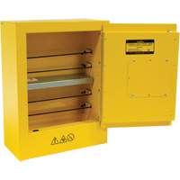 Armoire de s&eacute;curit&eacute; miniature pour produits inflammables, 2 gal., 1 Porte(s), 17" La x 22" h x 8" p Helyx Safety & Industrial Supplies