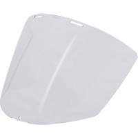 Clear Visor Helyx Safety & Industrial Supplies