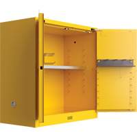 Armoire de s&eacute;curit&eacute; pour produits inflammables Utili-Guard+, 30 gal., 1 Porte(s), 43" La x 44" h x 22" p Helyx Safety & Industrial Supplies