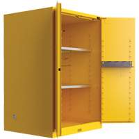 Armoire de s&eacute;curit&eacute; pour produits inflammables Utili-Guard+, 45 gal., 2 Porte(s), 43" La x 65" h x 22" p Helyx Safety & Industrial Supplies