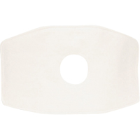 Filtre de rechange North, Filtre contre les particules, Filtre N99 Helyx Safety & Industrial Supplies