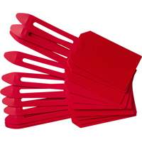 &eacute;tiquettes de cadenassage vierges en plastique, Plastique, 3-1/4" la x 5-4/5" h, Vierge Helyx Safety & Industrial Supplies