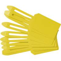 &eacute;tiquettes de cadenassage vierges en plastique, Plastique, 3-1/4" la x 5-4/5" h, Vierge Helyx Safety & Industrial Supplies