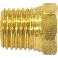 Bouchon de tuyau (t&ecirc;te hexagonale), 1/8" dia., Laiton Helyx Safety & Industrial Supplies