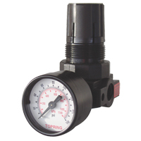 Mini Regulators, 1/4" NPT, 165 PSI Max. PSI, Modular Helyx Safety & Industrial Supplies