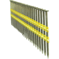 Clous ordinaires Helyx Safety & Industrial Supplies