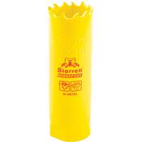 Bi-Metal Holesaw - 13/16", 13/16", 2" Depth of Cut, Bi-Metal Helyx Safety & Industrial Supplies