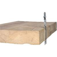 Lame de scie alternative pour la coupe du bois, Acier &agrave; haute teneur en carbone, Tige en T, 4" lo, 10 dents par pouce Helyx Safety & Industrial Supplies