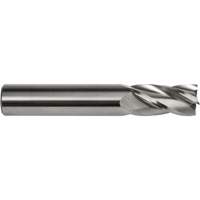 Fraise embout S134, 1/8" dia., 1-1/2" lo, 4 cannelures, 1/8" tige, Carbure Helyx Safety & Industrial Supplies