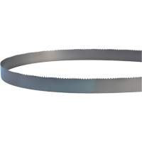 Welded Bandsaw Blade, Bi-Metal, 14' L x 1" W x 4 - 6 TPI Helyx Safety & Industrial Supplies