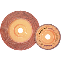 Enduro-Flex Stainless Flap Disc, 4-1/2" x 7/8", Type 27, 40 Grit, Zirconia Alumina Helyx Safety & Industrial Supplies