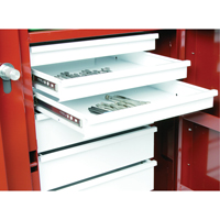 &eacute;tabli roulant, 49-7/8" la x 40-5/8" h x 26-7/8" p, Capacit&eacute; de 24,6 pi³ Helyx Safety & Industrial Supplies
