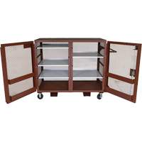 Armoire mobile en treillis, Acier, 49 pi³, Rouge Helyx Safety & Industrial Supplies