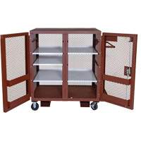 Armoire mobile en treillis, Acier, 37 pi³, Rouge Helyx Safety & Industrial Supplies
