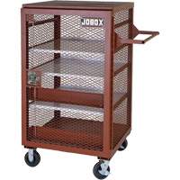 Armoire mobile en treillis, Acier, 22 pi³, Rouge Helyx Safety & Industrial Supplies