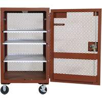 Armoire mobile en treillis, Acier, 22 pi³, Rouge Helyx Safety & Industrial Supplies