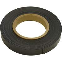Bandes magn&eacute;tiques, 100' lo x 1" la, &eacute;paisseur 1/16", Force de 6 lb par pi lin. Helyx Safety & Industrial Supplies