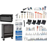 Master Tool Set with Steel Chest and Cart, 236 Pieces Helyx Safety & Industrial Supplies