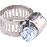 Colliers de serrage pour tuyaux - Collier de serrage en acier inoxydable & vis zingu&eacute;e, Dia. min 1/2", Dia. max 1-1/8" Helyx Safety & Industrial Supplies