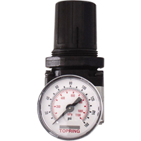 Regulators, 1/4" NPT, 150 PSI Max. PSI, Modular Helyx Safety & Industrial Supplies