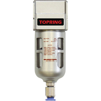 Filtreurs, Modulaire, 1/4" NPT, Drain Semi-automatique, Pour Eau Helyx Safety & Industrial Supplies