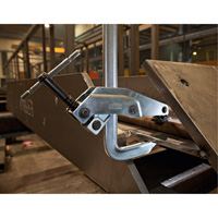 Serre-joint &agrave; pince Helyx Safety & Industrial Supplies