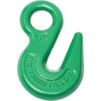Cam-Alloy&reg; Eye Grab Hook Helyx Safety & Industrial Supplies