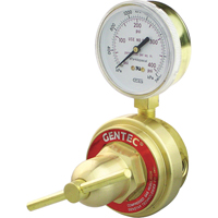 Medium-to-Heavy-Duty Pipeline Regulator, Propane, 1/4" NPT(F) Port Inlet Helyx Safety & Industrial Supplies