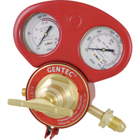 153 Series - Gauge Protectors Helyx Safety & Industrial Supplies