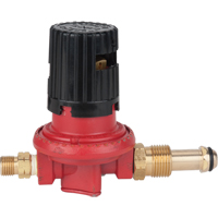Propane Regulator Helyx Safety & Industrial Supplies